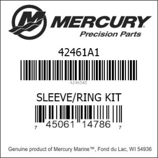 SLEEVE/RING KIT 42461A1
