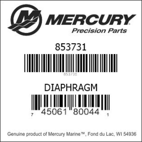 PUMP DIAPHRAGM 853731