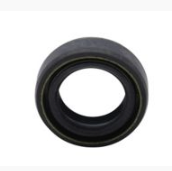 OIL SEAL 161301