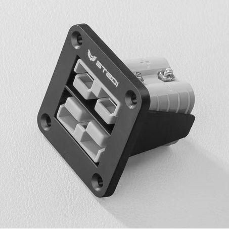 TWIN ANDERSON PLUG FLUSH MOUNT AND-TWIN-FLSH