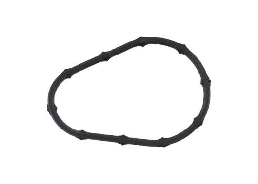 O-RING THERMOSTAT HOP19317 ZW9 000