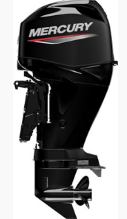 MERCURY OUTBOARD 50HP TILLER ELECTRIC TILT, TRIM, START, LONG LEG (20 INCH) 1F5141TJZ