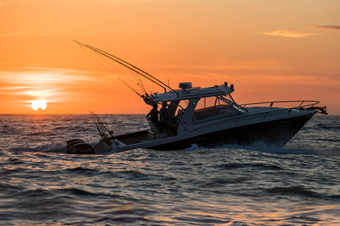 HALO 24 RADAR 000-14535-001