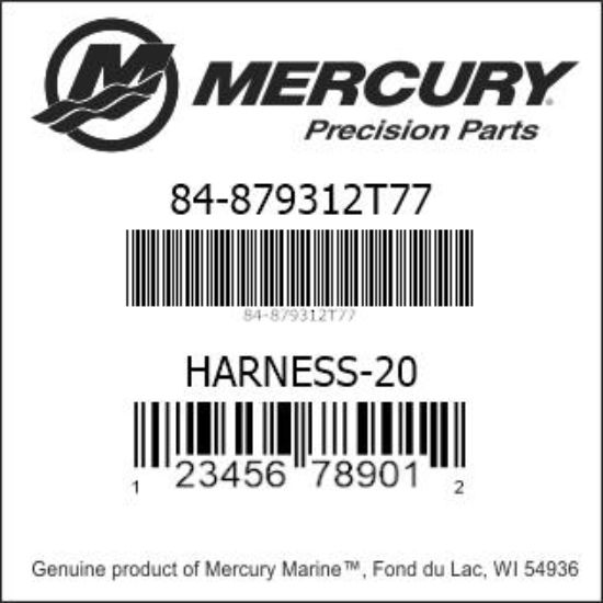 HARNESS-20 879312T77