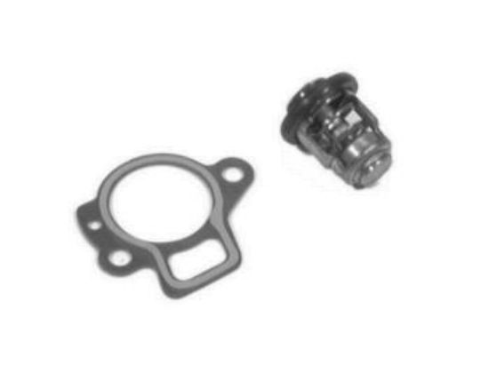 THERMOSTAT KIT 825212A1