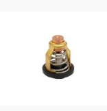 THERMOSTAT 8M6013864