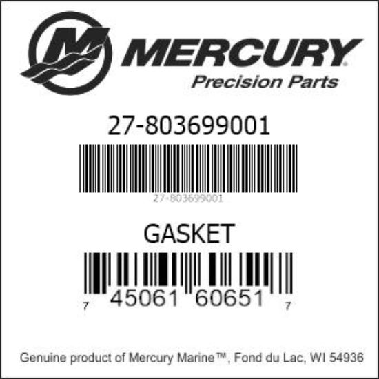 GASKET 803699001