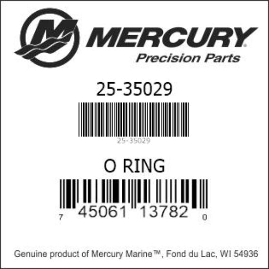 O-RING 35029