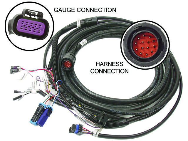 HARNESS ASSEMBLY (20 FEET) KEY - CHOKE - HORN 896537T20
