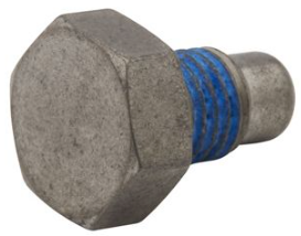 SCREW (TRILODE REPLACEMENT) 8M0177279