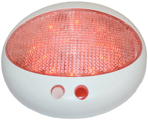 LED LIGHT WITH SWITCH & DIMMER 3W 12/24V RWB5791